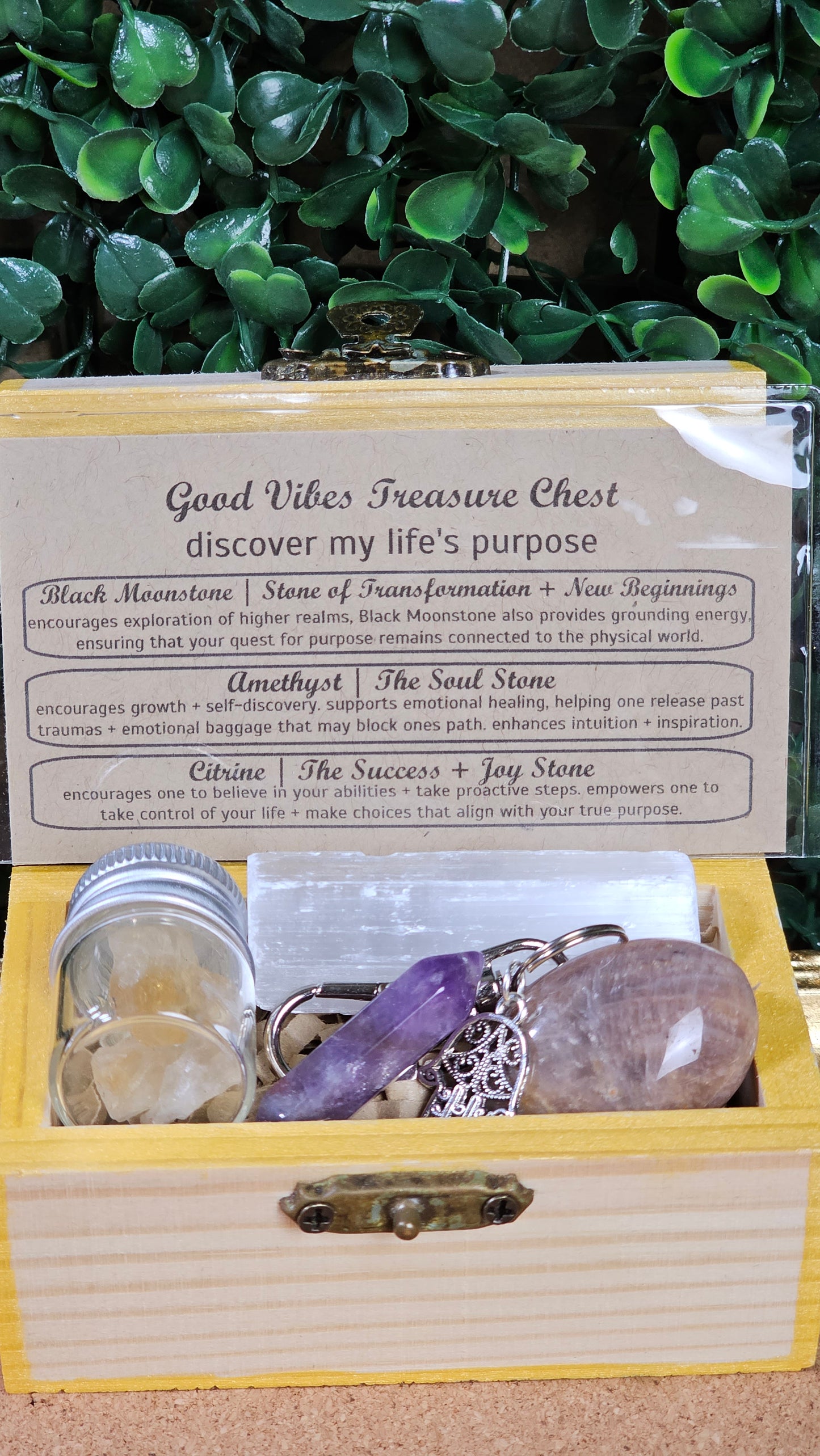 Discover My Life's Purpose - Treasure Chest