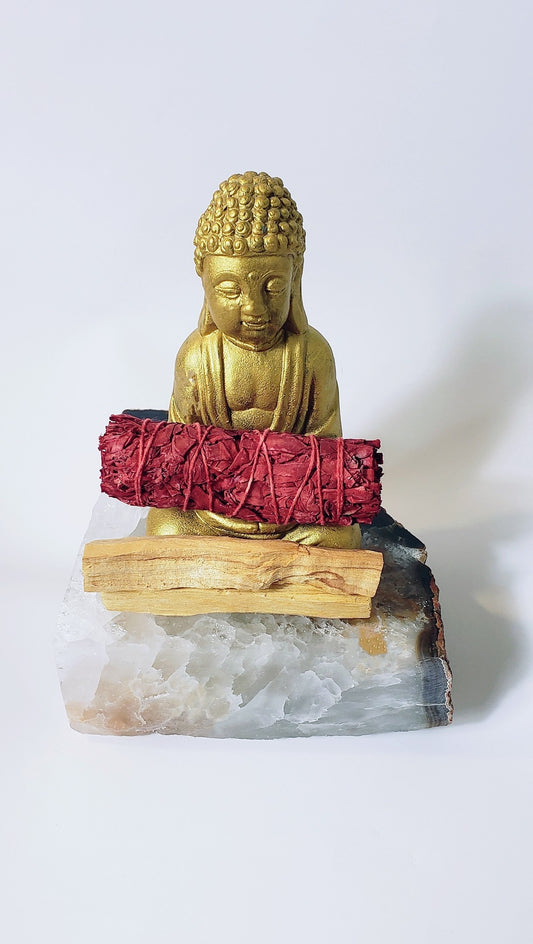 Dragons Blood resin (Dracaena cinnabari) is a powerful energy booster used for protection, power and good fortune.